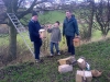 Wildlife in Braidburn Valley Park